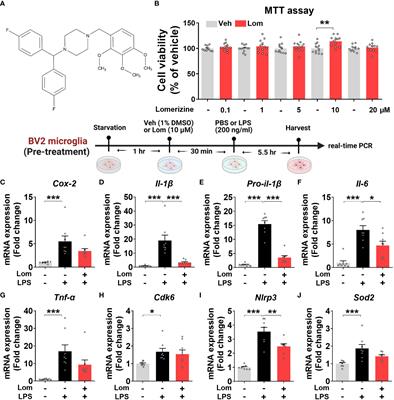 Lomerizine inhibits LPS-mediated neuroinflammation and tau hyperphosphorylation by modulating NLRP3, DYRK1A, and GSK3α/β